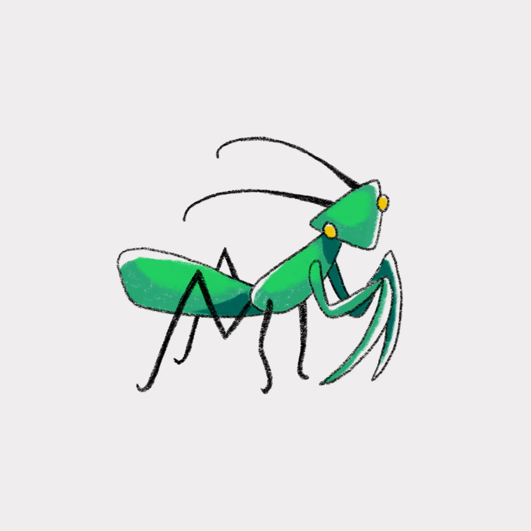Image 16