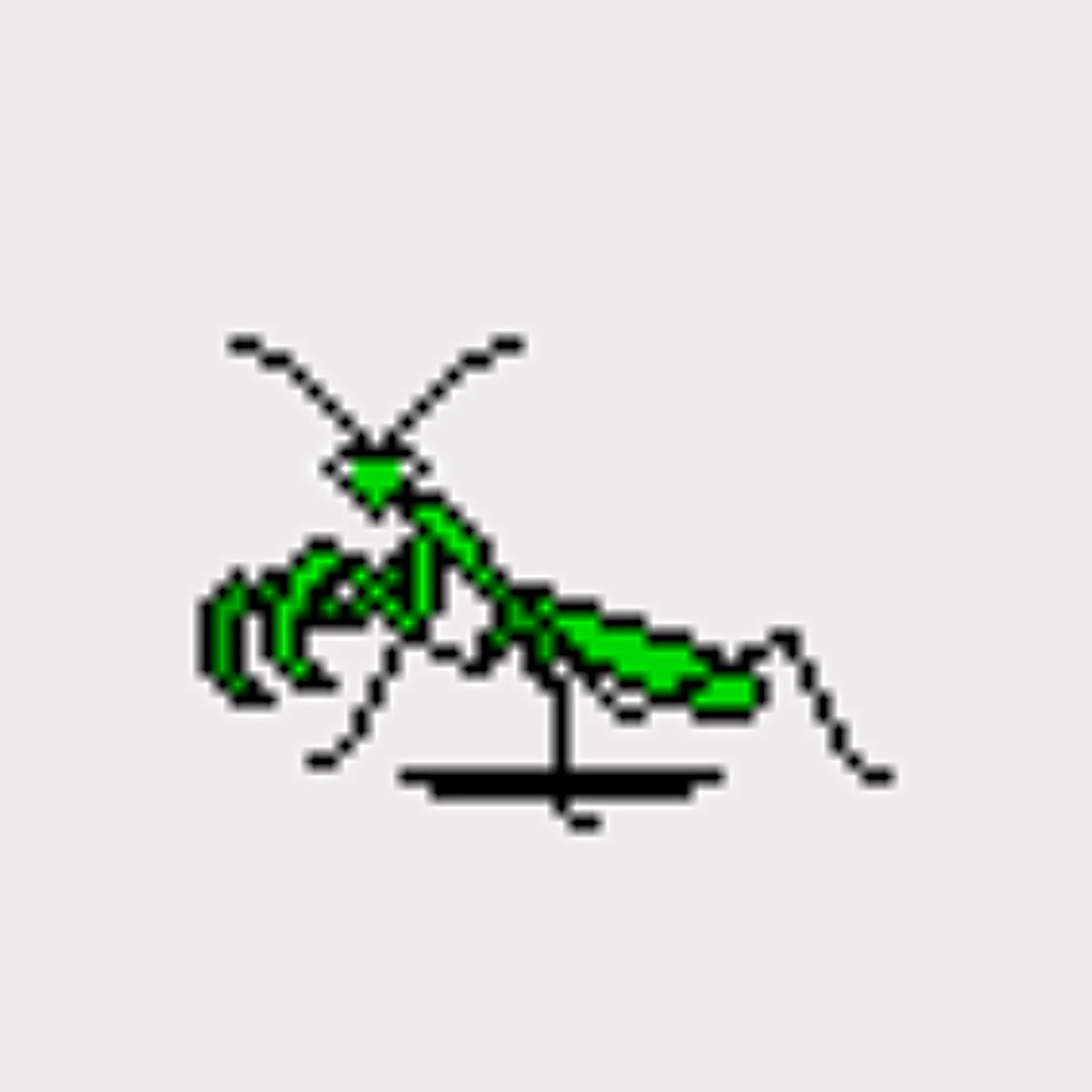 Hover: Image 16